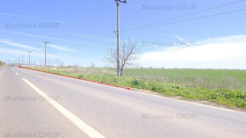 Dascalu, 119.000 mp. teren intravilan cu desch. de 180 m. la DJ 200 - Poză 3