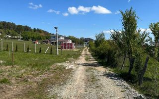 TEREN 600 MP | VEDERE PANORAMICĂ | LA MARGINEA PĂDURII | Tocile, SIBIU - Poză 6