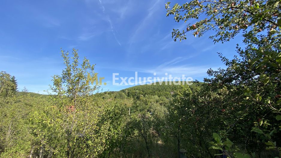 CASA + TEREN 1.002 MP | Stefanesti – Valea Mare Enculescu-Arges - Poză 10