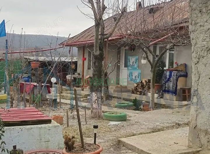 De vanzare - Poză 2