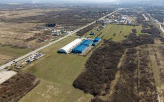 Teren extravilan de 7.000 mp lângă Păltiniș - Poză 10