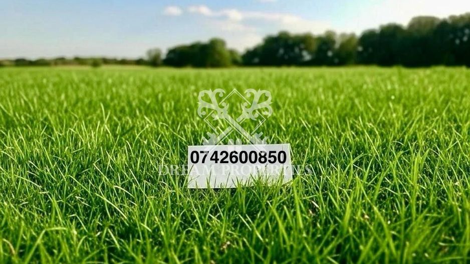 Teren intravilan de vanzare, Dezmir - Poză 2