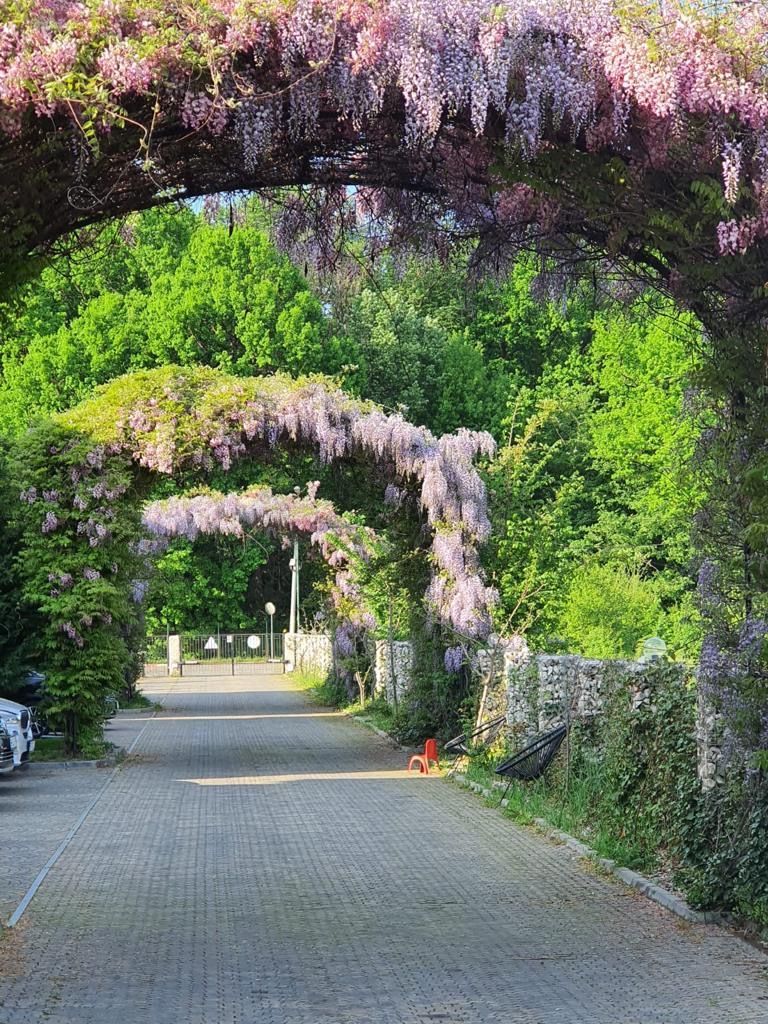 Vila 5 camere Avangarde Forest 4 | Mobilata complet - Poză 47