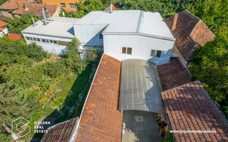 Locuinta de familie cu spatiu ideal pentru dezvoltarea unei afaceri - Poză 12