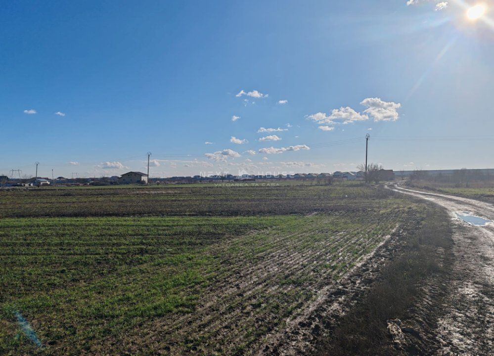 Teren Joita -  Bacu - Dragomiresti - Poză 1