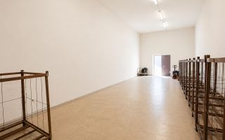 Frigider industrial funcțional 300 tone + transformator propriu | Investiție gata de operare – Speia, Anenii Noi - Poză 18