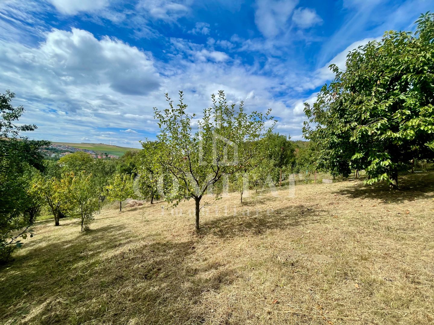 Casă + 1 apartament separat pe teren de 1.949 mp  cu panoramă Chinteni - Poză 29