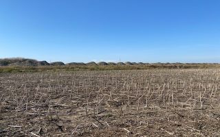 Teren agricol în Zona Sagului - Poză 1