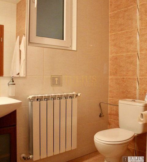 Casa de inchiriat in zona Lipovei - Pomiculturii. Curte comuna, ctr. Anaf. - Poză 17