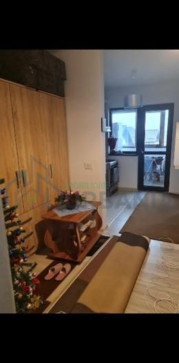 Apartament 1 camera, open space, etaj 3/3, Valea Lupului - Poză 5