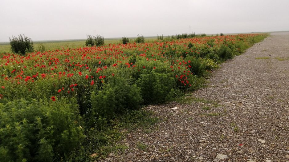 Teren la DN Brașov-Tărlungeni - Poză 5