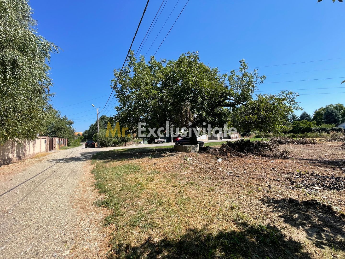 Teren intravilan | 2 deschideri | Ștefăneștii Noi – Str. Primăverii - Poză 6