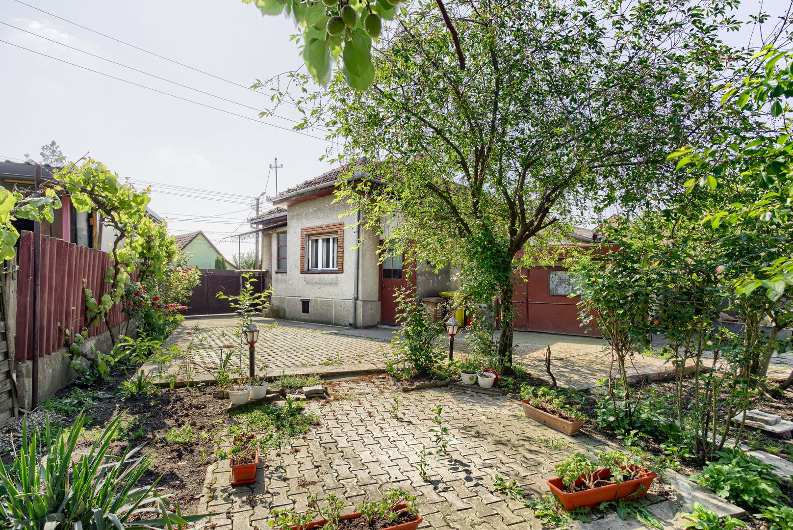 Casa in Gradiste - PROPRIETATE REZERVATA - Poză 8