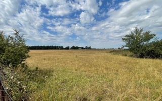 Teren Intravilan 1 ha – Acces Drum Asfalt | Ideal Rezidențial - Poză 4