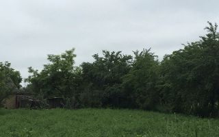 Casă tradițională în Moreni, sat Valatuci, teren 2520 mp, strada Principală nr. 82, județul Iași - Poză 9