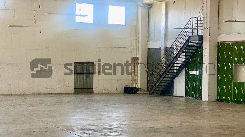 Sapient | Hală situata în com. Borș - Poză 13