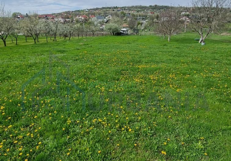 Teren intravilan de vanzare in Tomesti, Chicerea – 2 parcele cu utilitati in zona - Poză 5