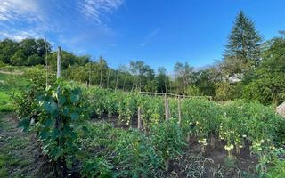 CASA DE VANZARE - 15 KM DE BISTRITA - Poză 3