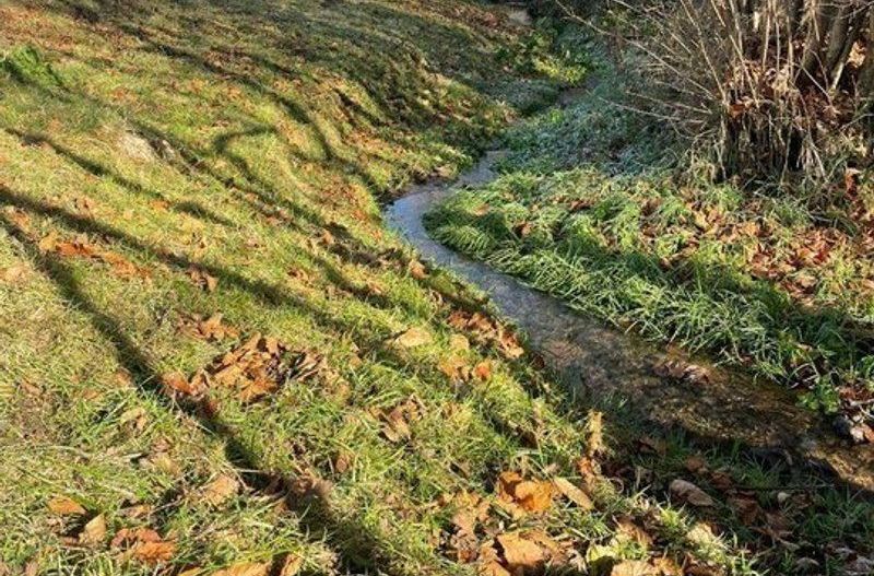 Teren 3349 mp de Vânzare | Bran – Panoramă Munții Bucegi - Poză 8