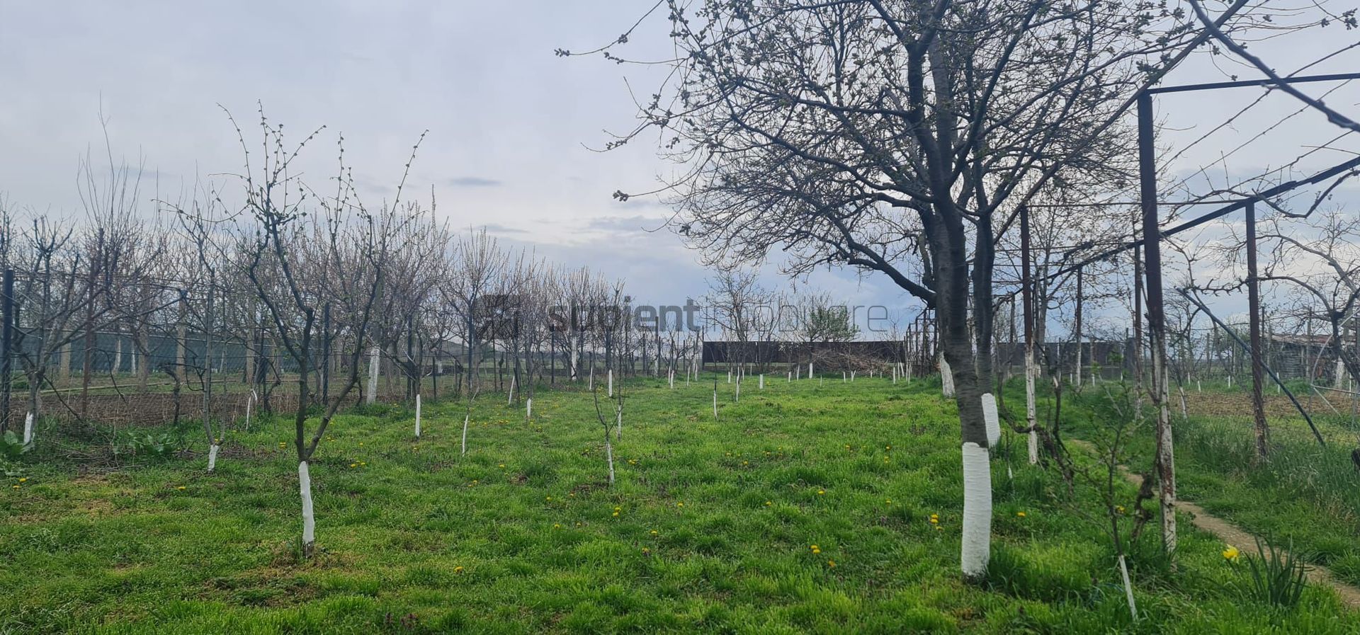 Sapient | Casa zona Episcopia Bihor - Poză 15