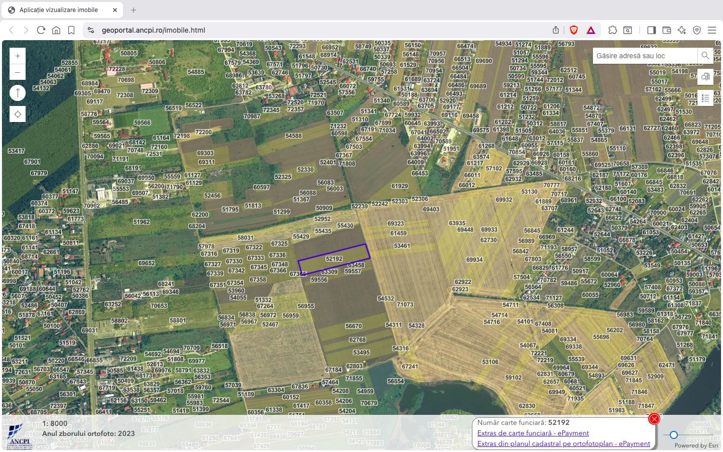 Teren intravilan 18.200 mp Saftica Balotesti - Poză 4