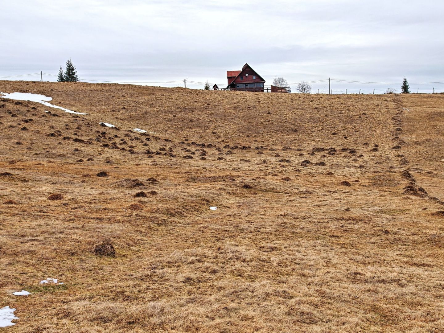4663mp, in Statiunea Turistica Montana BELIS – FANTANELE, jud. Cluj - Poză 3