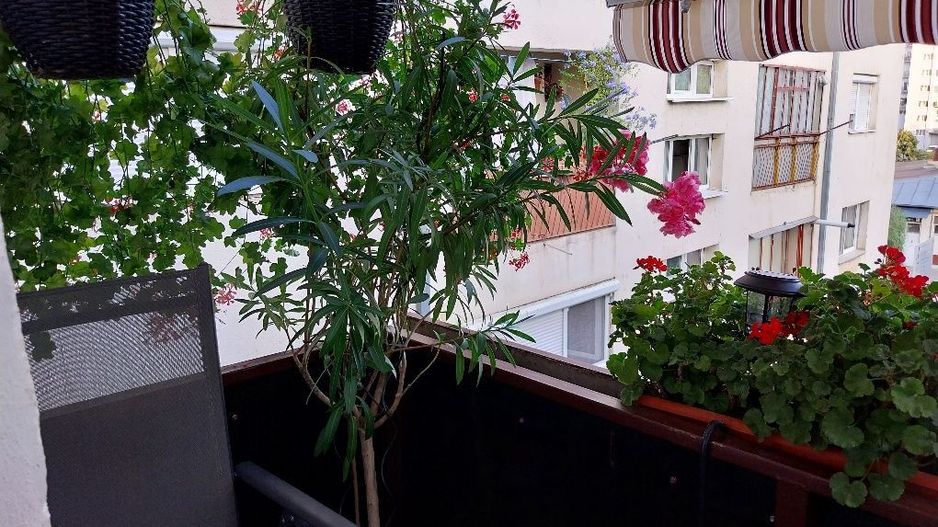 Apartament 3 camere cu garaj autorizat și beci - Poză 8