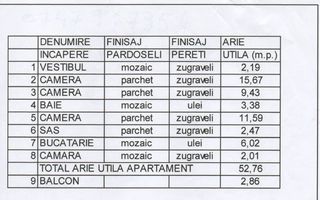 APARTAMENT DE 3 CAMERE    - VATRA LUMINOASA - Poză 12