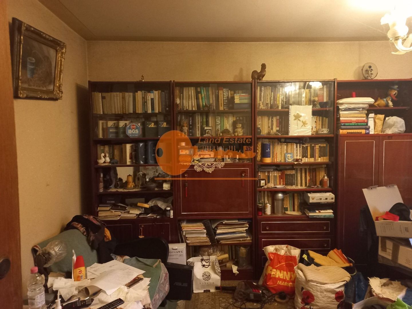 4 camere Gorjului - Lacul Morii - Poză 1