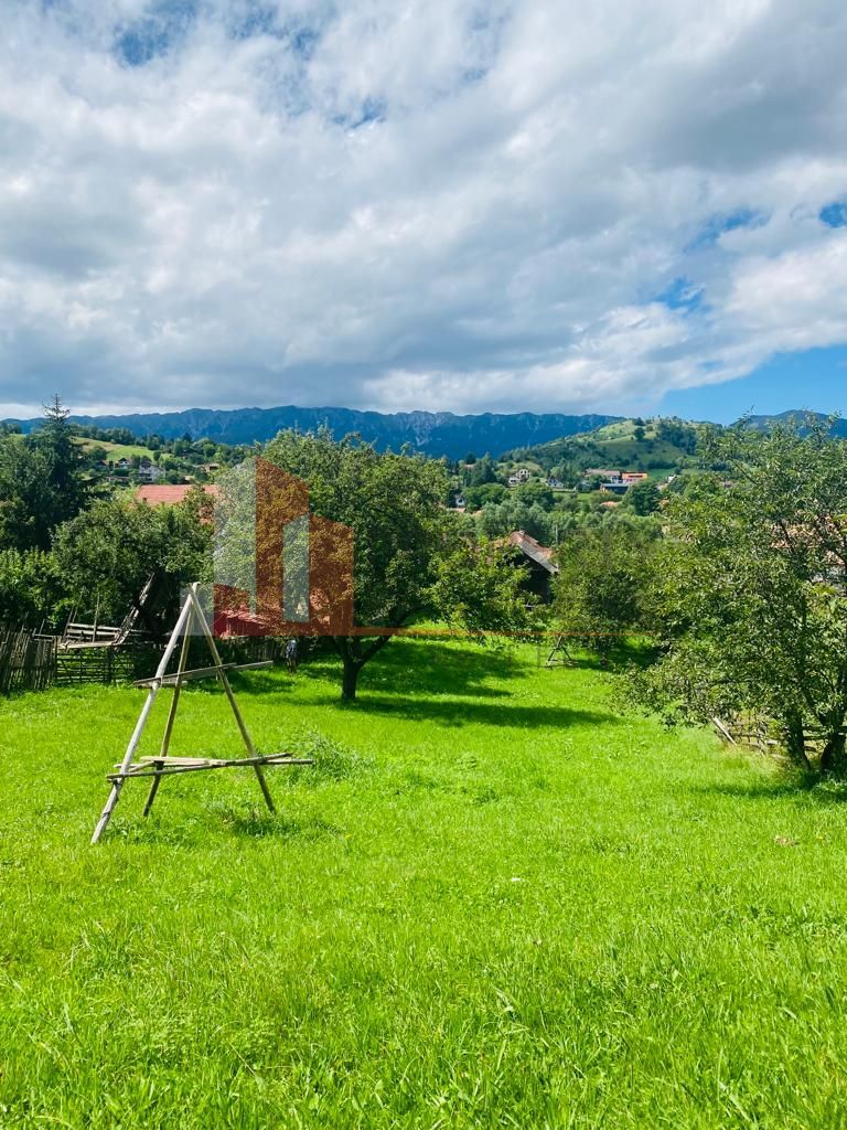 Teren 5879 mp + casa batraneasca Moieciu de jos - Poză 14