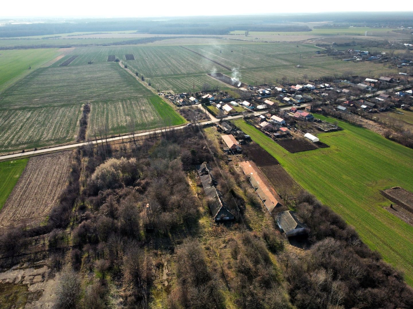 Ferma si livada de meri in judetul Ilfov - Poză 6