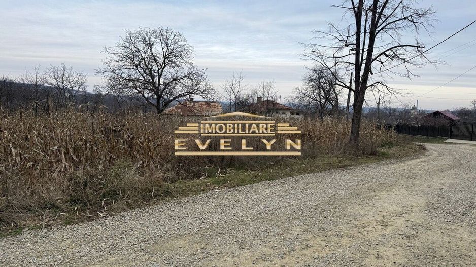 Teren intravilan de vânzare – Mănăstirea Doamnei - Poză 1
