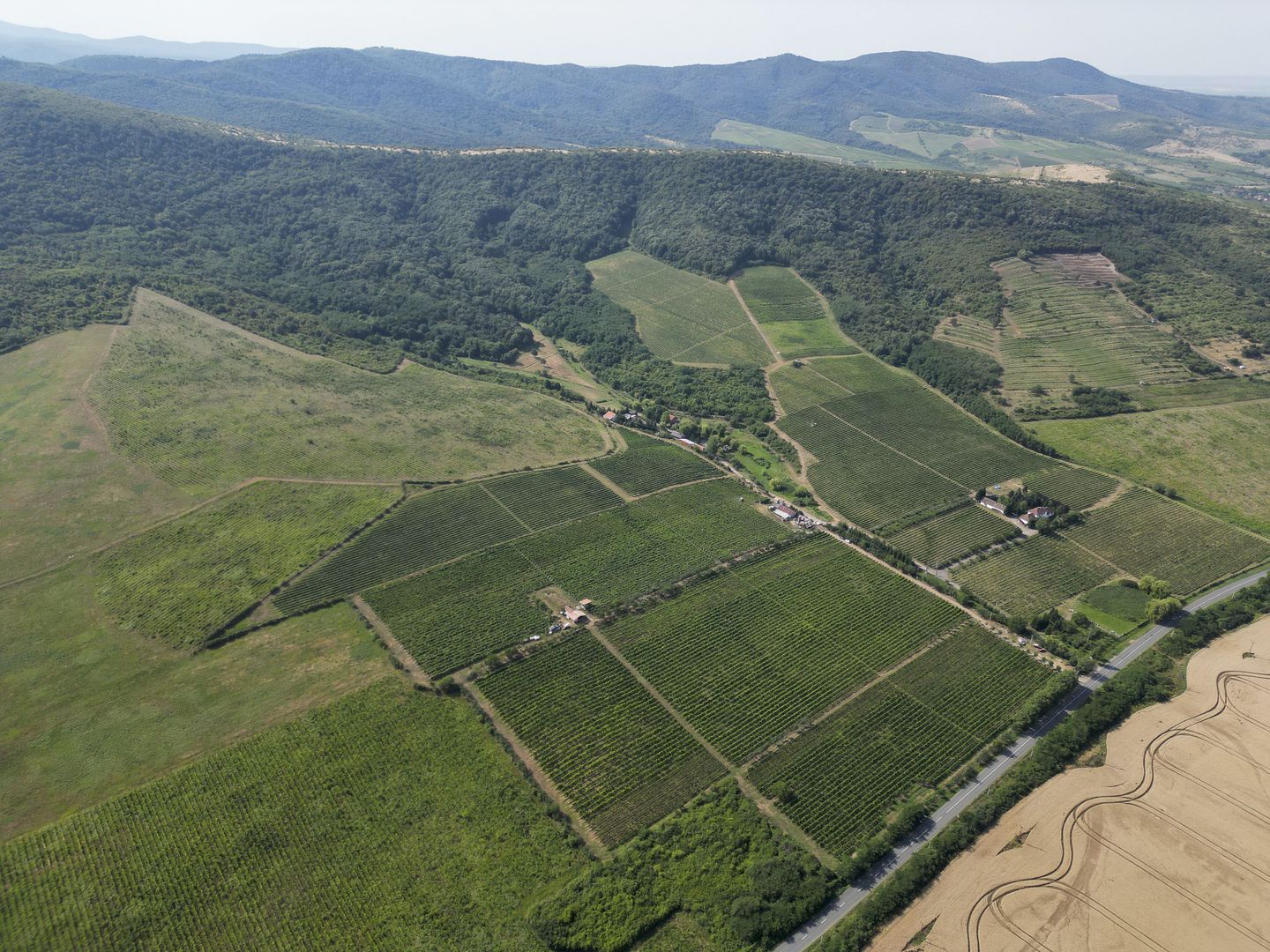 Vie Tradițională „Halta Lupilor” - Poză 31