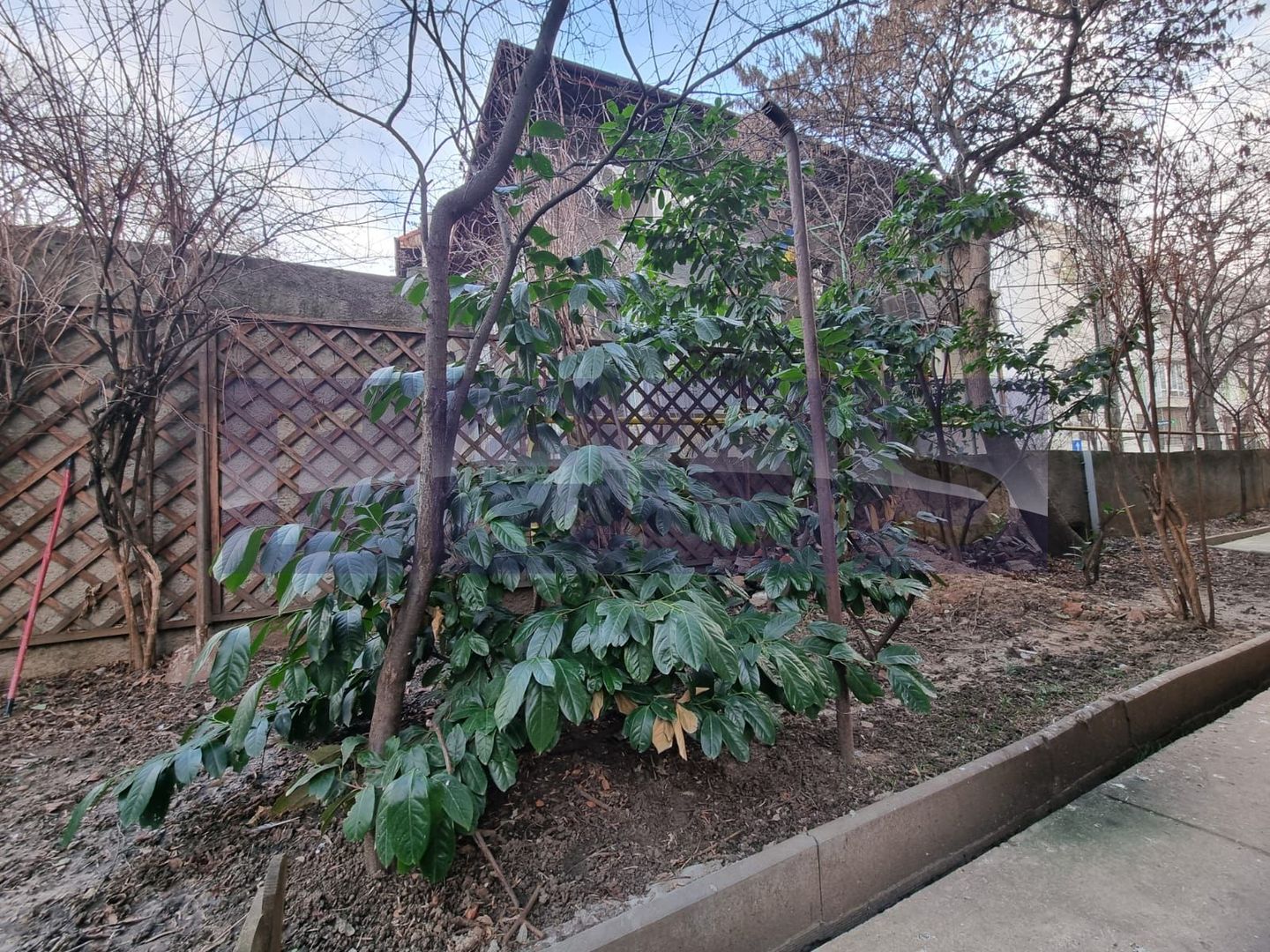 VANZARE - 3 CAMERE - ZONA FLOREASCA - Poză 23