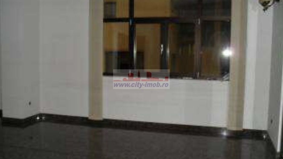 Inchiriere Vila Iancu Nicolae Gradinita, Clinica Medicala - Poză 7