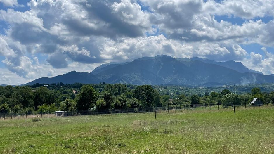 INVESTIȚIE | Teren 5000 mp PUZ APROBAT intravilan - zona Sohodol -Bran - Poză 1