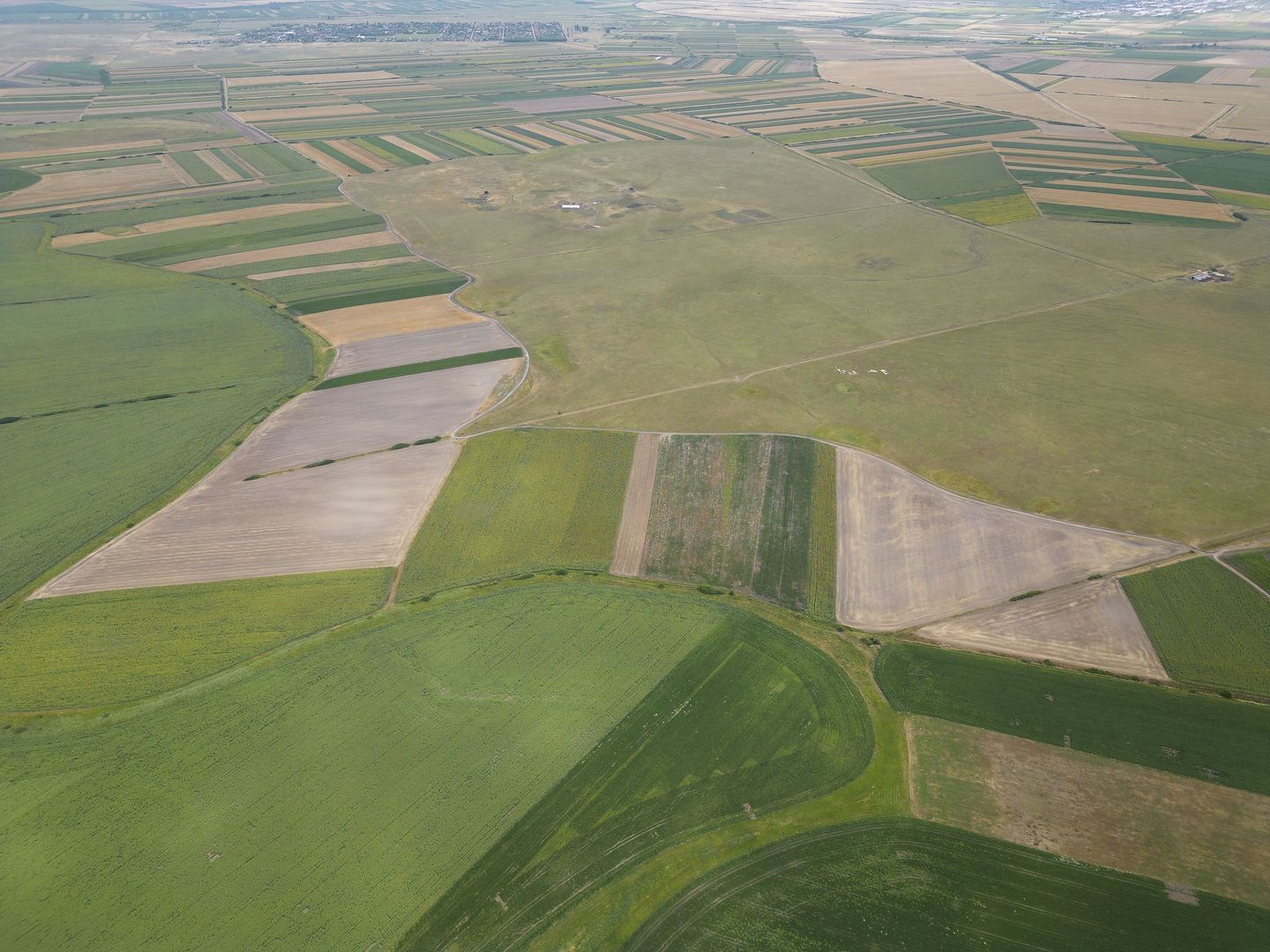 Teren arabil de 40 hectare în Zarand - Poză 4