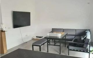 Apartament 3 camere Buziasului- Ciarda Rosie - Poză 1
