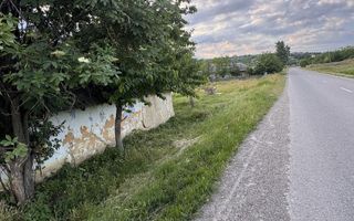 Teren intravilan de 6000 mp in Coarnele Caprei, Valea Babei, cu iesire la strada principala - Poză 3