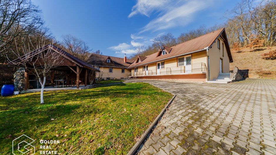 Proprietate pretabila pentru afacere, Cladova - Poză 1