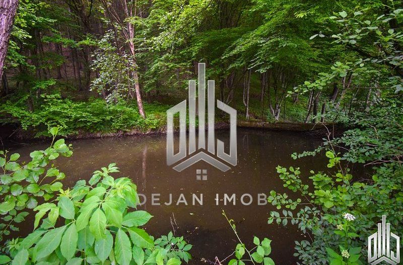 Vilă cu 4 camere | Valea Crișului | COMISION 0% - Poză 16