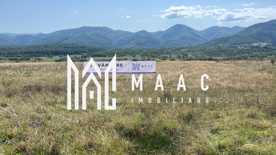 Teren extravilan | 7.800 mp | Saliste - Poză 6