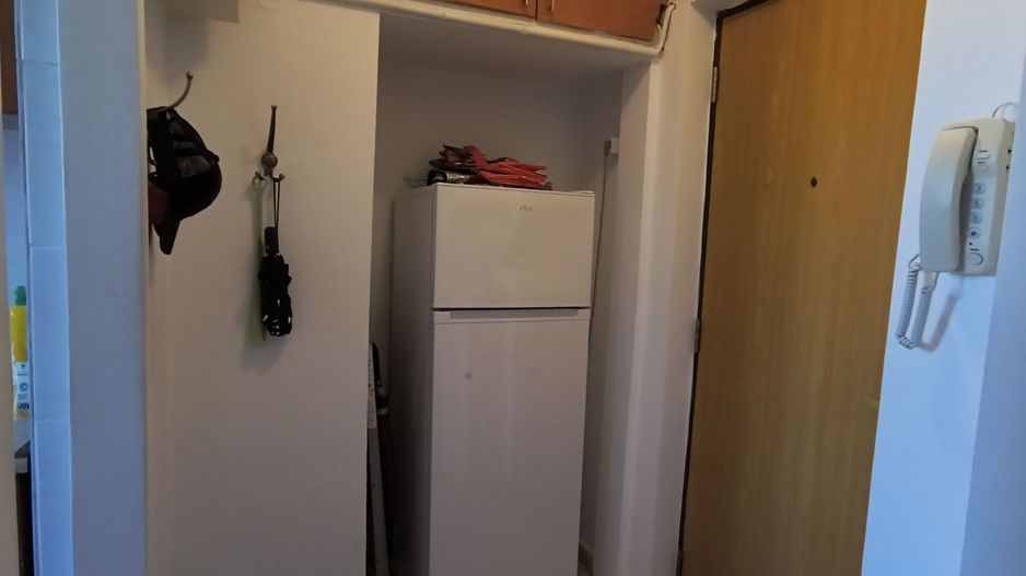 Domenii - Arcul de Triumf - Agronomie - Poză 10