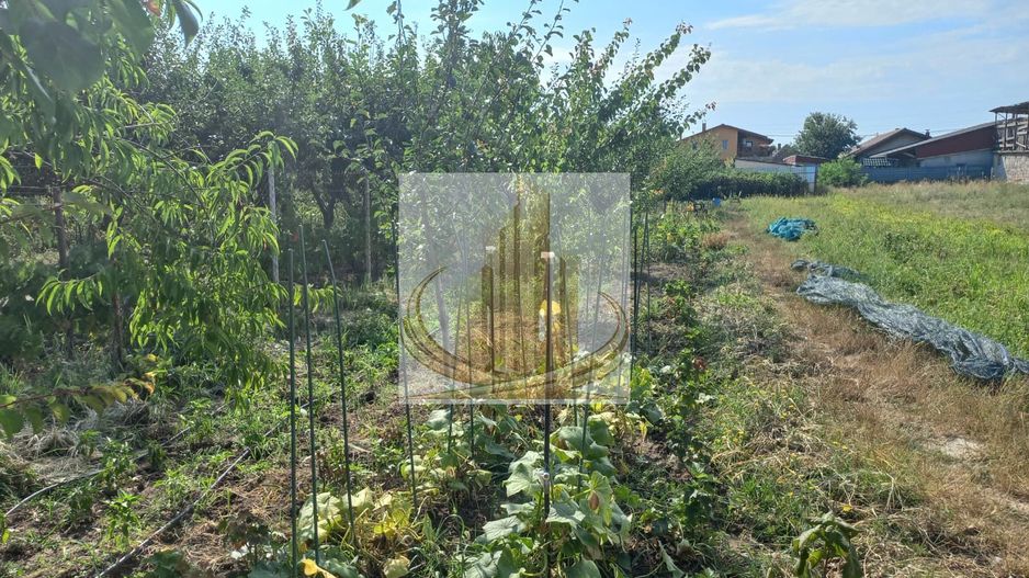 Casă individuală Plopi, 75 mp, teren 1.365 mp, 2 corpuri - Poză 11