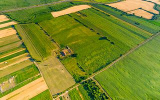 Teren de 10.000 mp situat în Bujac, Arad - Poză 2