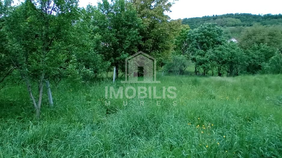 Teren intravilan | Budiu Mic | 994 mp - Poză 1