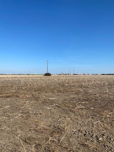 Teren agricol în Zona Sagului - Poză 11