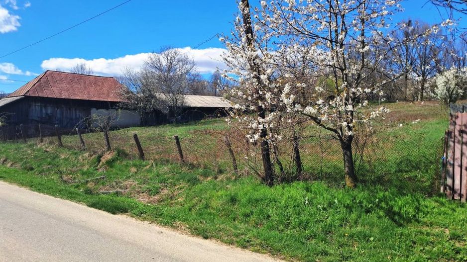 TEREN INTRAVILAN ȘI EXTRAVILAN POLOVRAGI - Poză 8