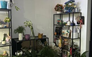 Inchiriere Spatiu Comercial Piata Victoriei, 30mp - Poză 2