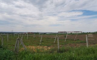 Teren intravilan cu PLANTATIE DE GOJII de vanzare in Racari - Poză 25